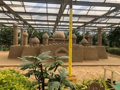 -南宫五洲植物乐园