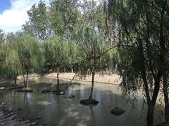 -溱湖国家湿地公园