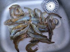 -江杨农产品批发市场