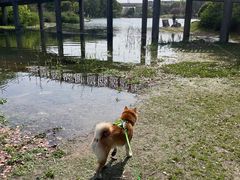 -美兰湖景区