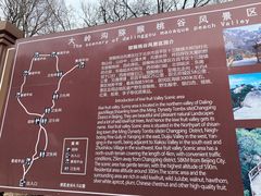 -大岭沟猕猴桃谷风景区