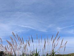 -东极岛景区