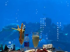 -海棠湾洲际-涛·海底餐厅·美人鱼·自助餐·海底隧道