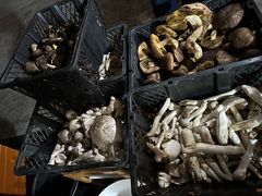 -草墩罗非鱼庄•野生菌•腊排骨(七星街上段店)