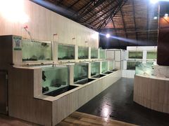 -海盗餐厅