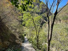 -圣莲山风景区