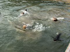 -西霞口神雕山野生动物世界