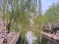 -海棠花溪(元大都城垣遗址公园)