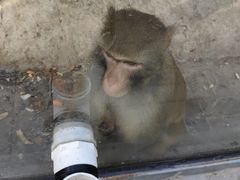 -北京鹿世界主题园