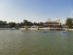 -天津水上公园
