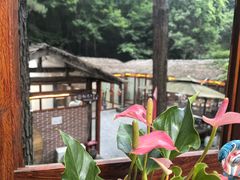 -小小饭店·休闲农庄·安吉松树林里的农家菜