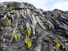 -夏威夷火山国家公园