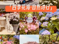 -上海鲜花港