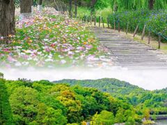 -东湖生态旅游风景区