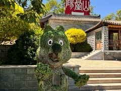 -阳台山自然风景区