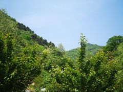 -抱龙峪