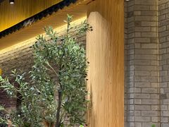 -梧桐院鲜羊铜锅涮肉(西虹市大院店)