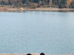 -羊山湖公园