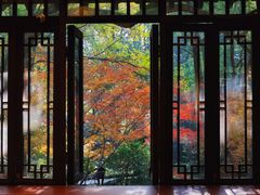 -中国茶叶博物馆(双峰馆区)