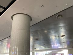 -岳阳东站