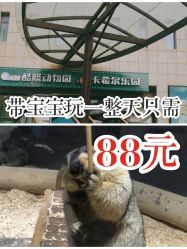 -酷嗒动物文化乐园(cutezoo西溪乐天城店)