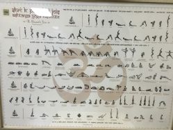 -酉嘉瑜伽YO+YOGA