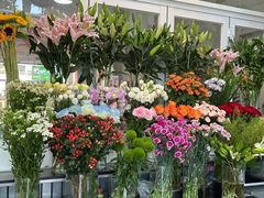-FEI FEI FLOWER鲜花店·气球派对·宝宝宴布置(虹口德必运动Loft店)