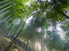 -藏龙百瀑风景区