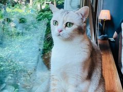 -咖法森林·咖啡  酒吧(天河店)