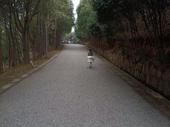 -雨花胜境