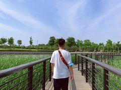 -郑东新区龙湖公共艺术中心