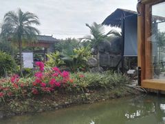 -花溪雨·森林餐厅(石基店)