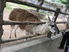 -西安秦岭野生动物园