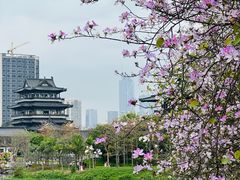 -海珠湖公园