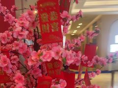 -合肥美奥口腔·种植矫正中心(政务院)
