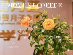 -大美母婴月子中心(馨乐庭店)
