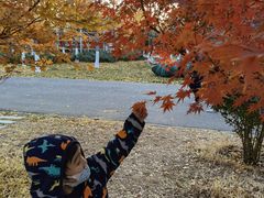 -北京园博大酒店