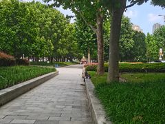 -凯迪拉克-上海音乐厅
