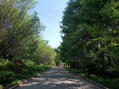 -黑龙江省森林植物园