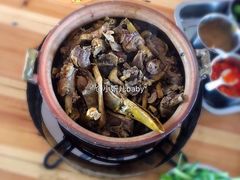 -霞姐屯昌枫木香草鸭店(海螺店)