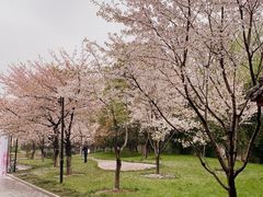 -堤角公园