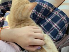 -芭比堂宠物医院·全科爱猫医院·仁德分院