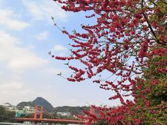 -桂林两江四湖景区