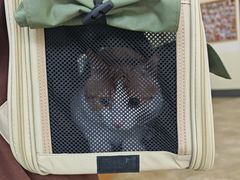 -美联众合动物医院·24h转诊中心