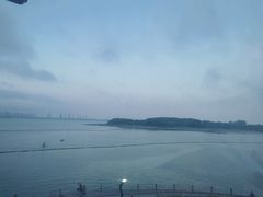 -琴岛之星摩天轮