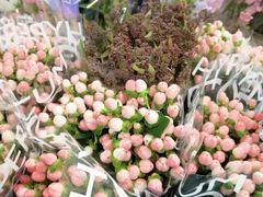 -双季花艺园艺市场(浦东店)