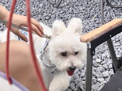 -FAELING PETS美天灵宠物(合生汇店)