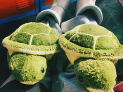 -蓟县盘山滑雪场