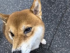 -博纳私人订制健身(中集美兰湖店)