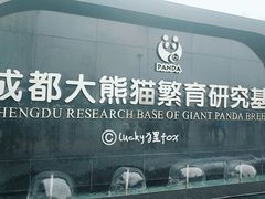 门面-成都大熊猫繁育研究基地